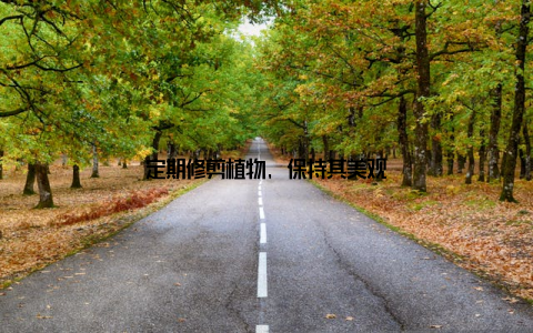 定期修剪植物, 保持其美观