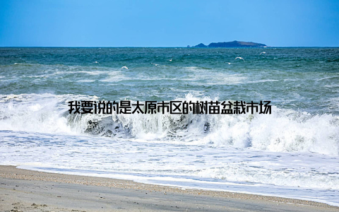 我要说的是太原市区的树苗盆栽市场