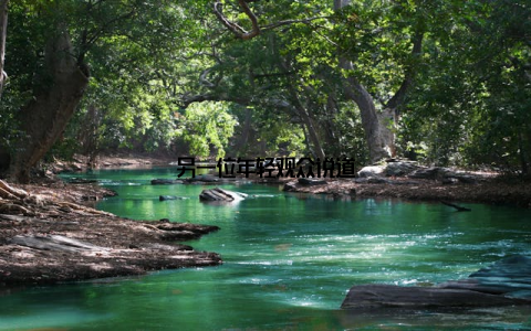 另一位年轻观众说道