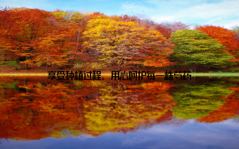 享受种植过程, 用心呵护每一株芍药