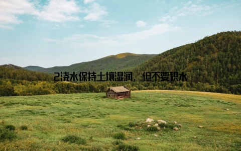 2浇水保持土壤湿润, 但不要积水