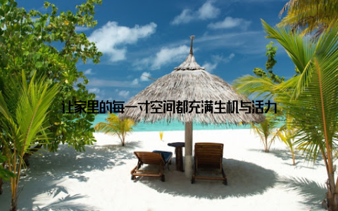 让家里的每一寸空间都充满生机与活力