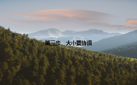 第三步, 大小要协调