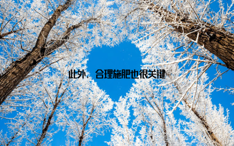 此外, 合理施肥也很关键