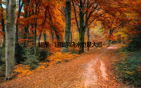 但是, 过度的浇水也是大忌