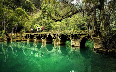 我发现我的生活节奏变得慢了下来
