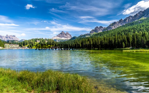 光照吊钟花喜光照, 但不宜暴晒