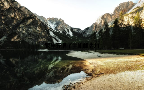 家里充满了生机和活力