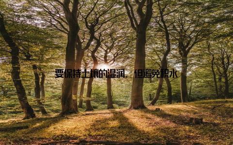 要保持土壤的湿润, 但避免积水