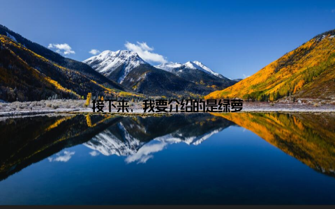 接下来, 我要介绍的是绿萝