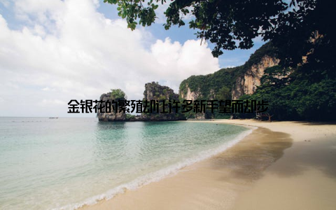 金银花的繁殖却让许多新手望而却步