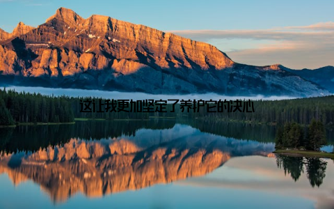 这让我更加坚定了养护它的决心