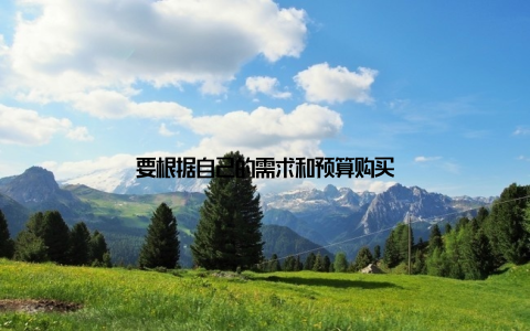 要根据自己的需求和预算购买