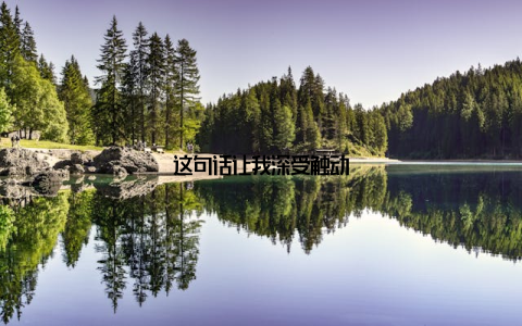 这句话让我深受触动