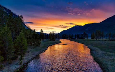 定期给植株浇水, 保持土壤湿润