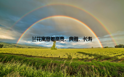 兰花寓意着高贵、典雅、长寿