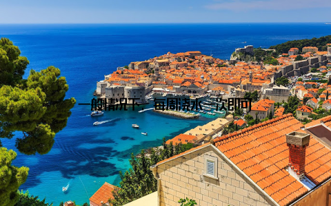 一般情况下, 每周浇水一次即可