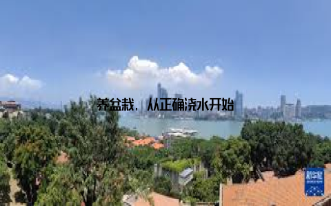 养盆栽, 从正确浇水开始