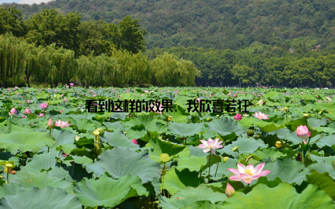 看到这样的效果, 我欣喜若狂