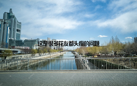 这是很多花友都头疼的问题