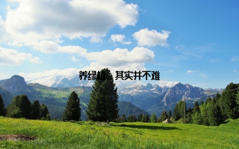 养绿植, 其实并不难