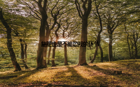 施肥也是不能忽视的环节