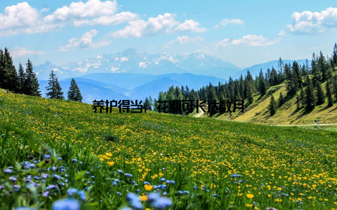 养护得当, 花期可长达数月