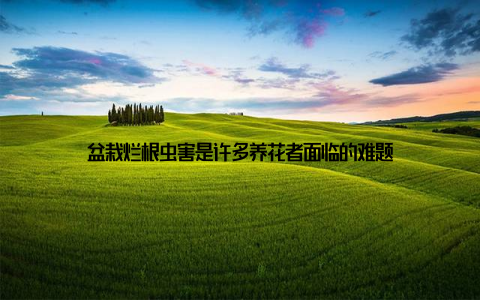 盆栽烂根虫害是许多养花者面临的难题