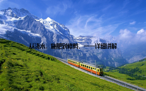 从浇水、施肥到修剪, 一一详细讲解