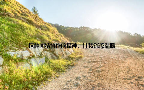 这种团结协作的精神, 让我深感温暖