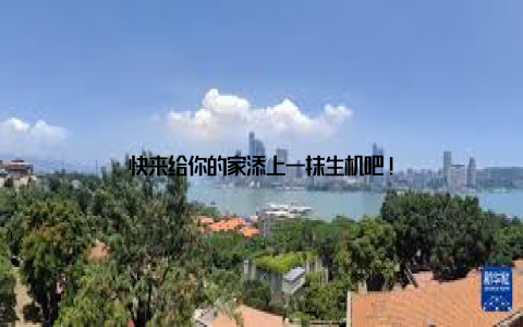 快来给你的家添上一抹生机吧!