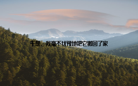 于是, 我毫不犹豫地把它搬回了家