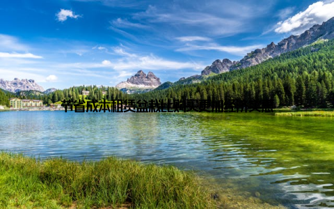 节省成本租赁盆栽比购买更加经济实惠