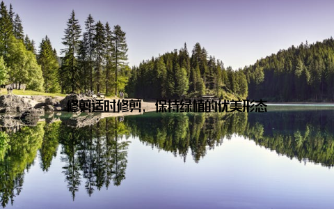 修剪适时修剪, 保持绿植的优美形态