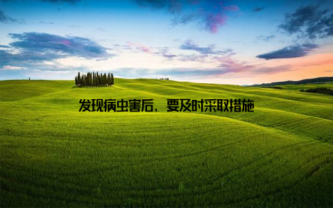 发现病虫害后, 要及时采取措施