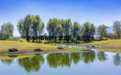 浇水时要保持土壤湿润, 避免积水