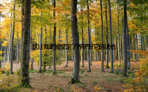 这让我更加坚定了养护好它的决心