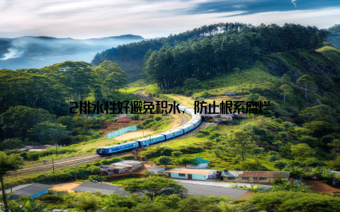 2排水性好避免积水, 防止根系腐烂