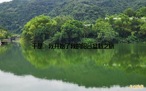 于是, 我开始了我的阳台盆栽之旅