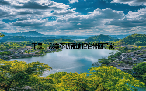 于是, 我毫不犹豫地把它带回了家