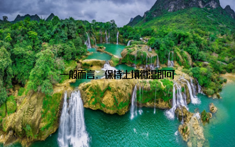 一般而言, 保持土壤微湿即可