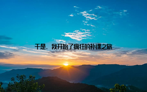 于是, 我开始了疯狂的补课之旅